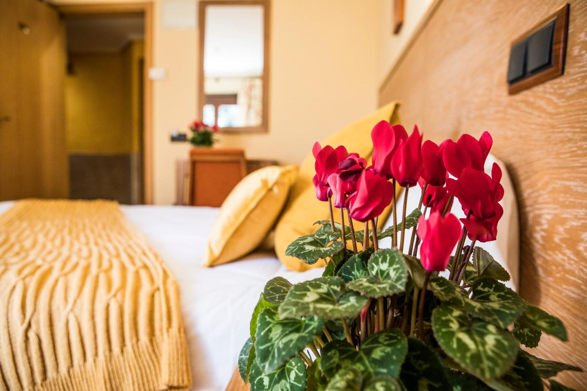 Hotel Casa Jose Diaz San Agustín de Guadalix Buitenkant foto